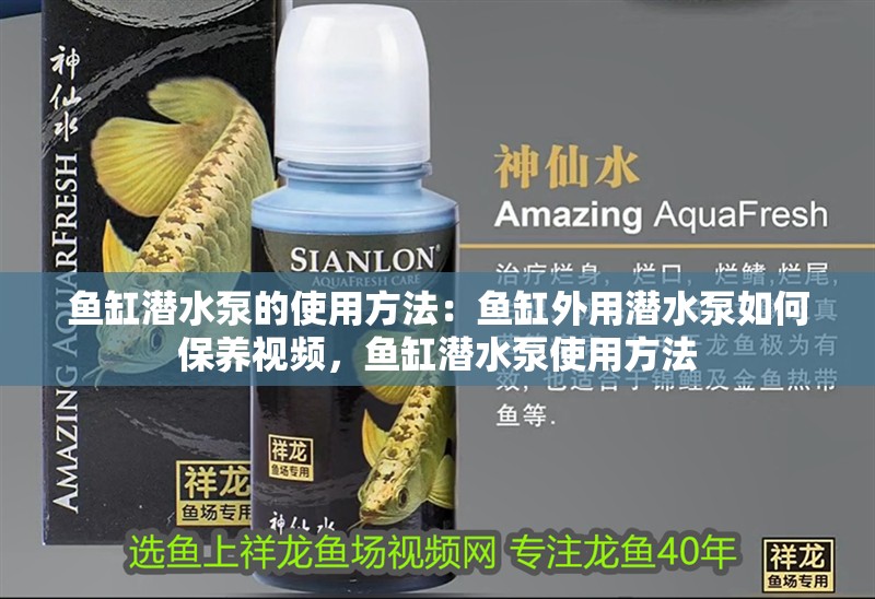 魚缸潛水泵的使用方法：魚缸外用潛水泵如何保養視頻，魚缸潛水泵使用方法