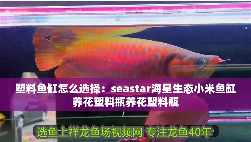 塑料魚缸怎么選擇：seastar海星生態小米魚缸養花塑料瓶養花塑料瓶