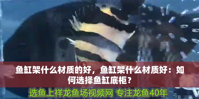 魚缸架什么材質的好，魚缸架什么材質好：如何選擇魚缸底柜？