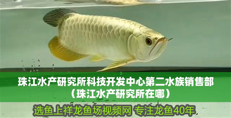 珠江水產研究所科技開發中心第二水族銷售部（珠江水產研究所在哪）