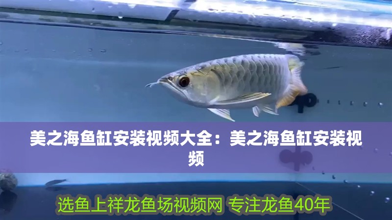 魚缸用增氧泵價格是多少:魚缸增氧機-xtrac增氧機-xtrac增氧機 美之海魚缸安裝視頻大全:美之海魚缸安裝視頻 魚缸百科 美之海魚缸安裝視頻大全:美之海魚缸安裝視頻 美之海魚缸安裝視頻大全:美之海魚缸安裝視頻 魚缸百科