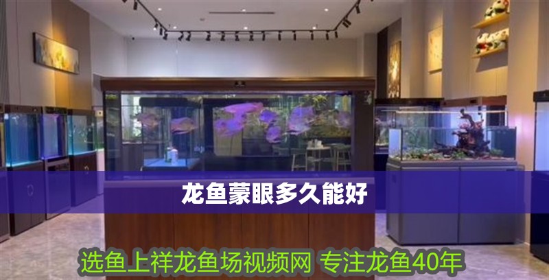 龍魚(yú)蒙眼多久能好