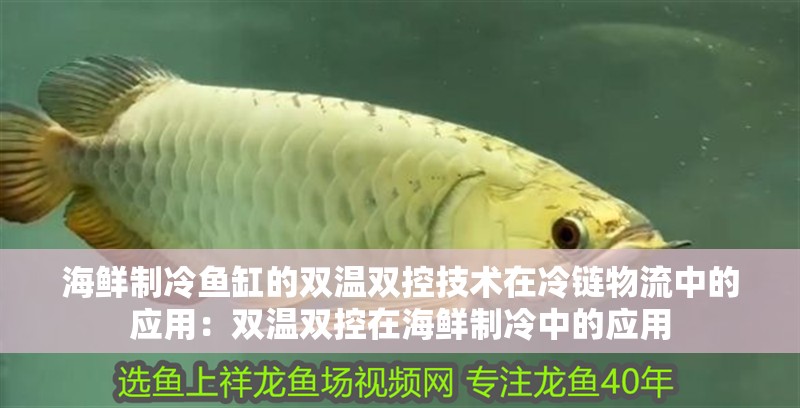 海鮮制冷魚缸的雙溫雙控技術(shù)在冷鏈物流中的應(yīng)用：雙溫雙控在海鮮制冷中的應(yīng)用 海鮮制冷魚缸的雙溫雙控技術(shù)在冷鏈物流中的應(yīng)用：雙溫雙控在海鮮制冷中的應(yīng)用 魚缸百科