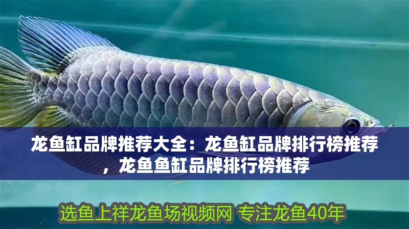 龍魚缸品牌推薦大全：龍魚缸品牌排行榜推薦，龍魚魚缸品牌排行榜推薦