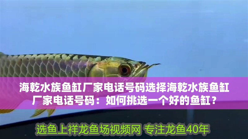 海乾水族魚缸廠家電話號碼選擇海乾水族魚缸廠家電話號碼：如何挑選一個好的魚缸？