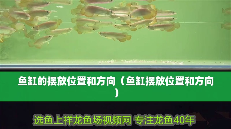 魚缸的擺放位置和方向（魚缸擺放位置和方向）