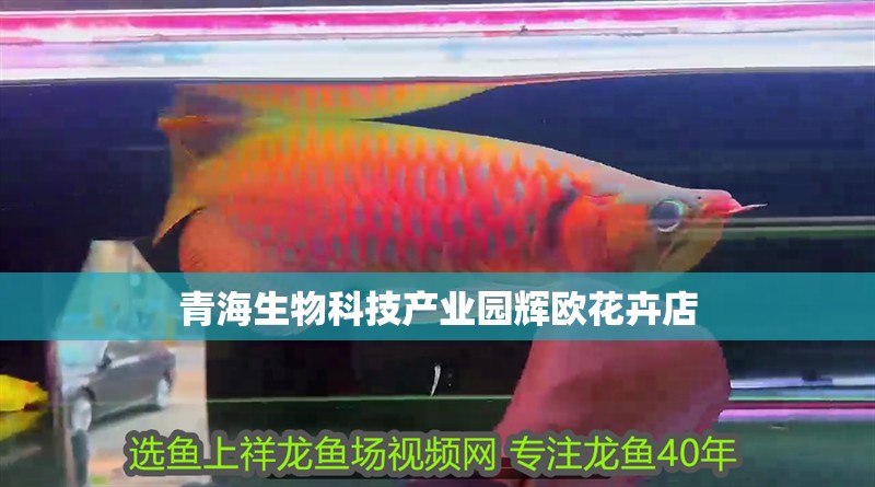 <strong><mark>青海</mark></strong>生物科技產業園輝歐花卉店