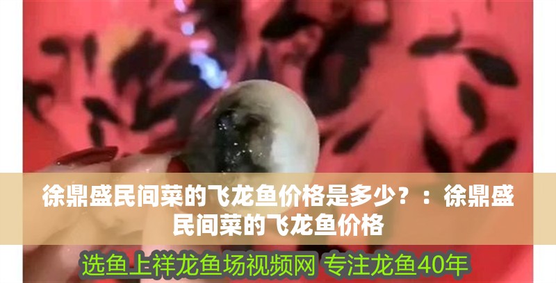 徐鼎盛民間菜的飛龍魚價格是多少？：徐鼎盛民間菜的飛龍魚價格