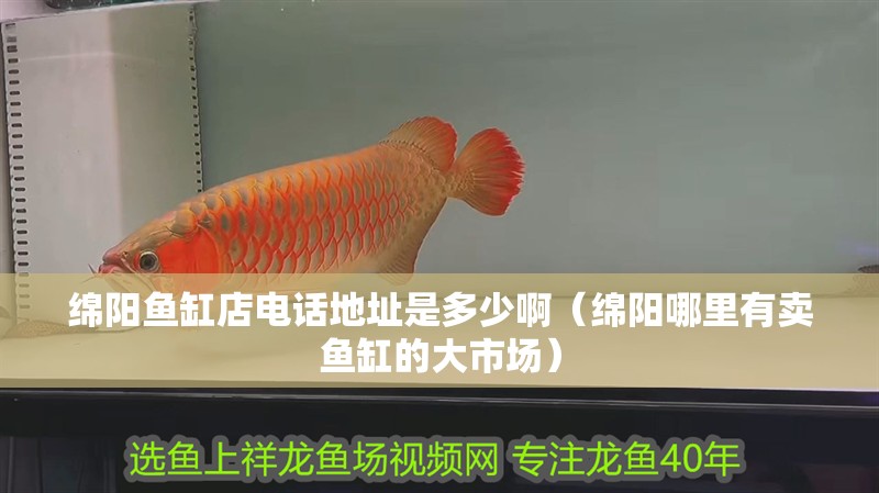 綿陽魚缸店電話地址是多少啊（綿陽哪里有賣魚缸的大市場）