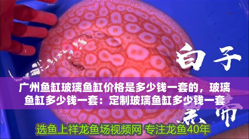 廣州魚缸玻璃魚缸價格是多少錢一套的，玻璃魚缸多少錢一套：定制玻璃魚缸多少錢一套