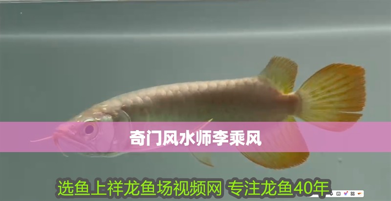 奇門風(fēng)水師李乘風(fēng)