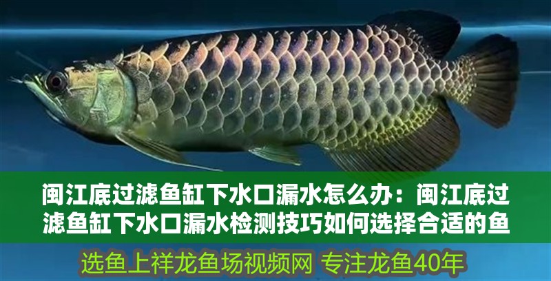 閩江底過濾魚缸下水口漏水怎么辦：閩江底過濾魚缸下水口漏水檢測技巧如何選擇合適的魚缸密封膠