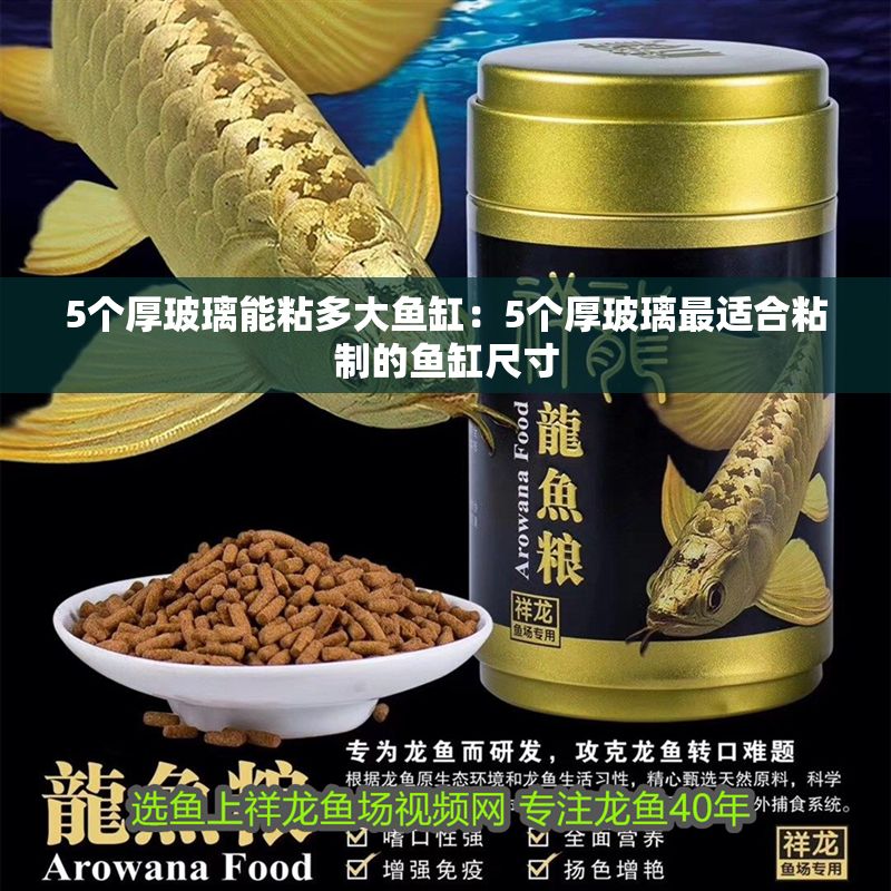 5個(gè)厚玻璃能粘多大魚缸：5個(gè)厚玻璃最適合粘制的魚缸尺寸