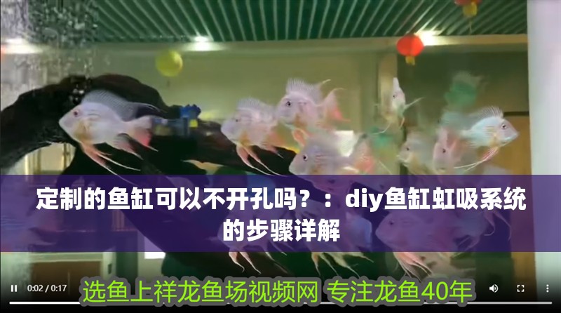 定制的魚缸可以不開孔嗎？：diy魚缸虹吸系統的步驟詳解