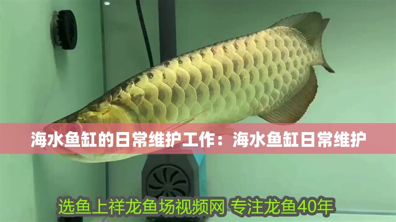 海水魚缸的日常維護工作：海水魚缸日常維護