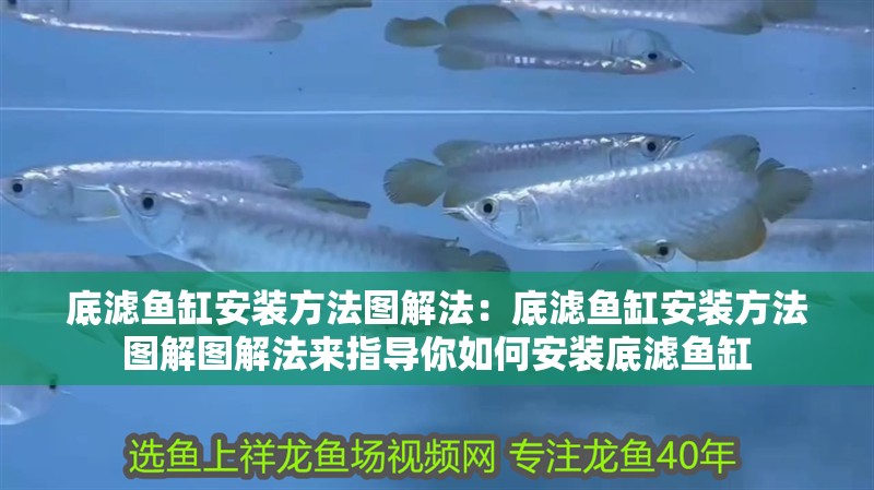底濾魚缸安裝方法圖解法：底濾魚缸安裝方法圖解圖解法來指導(dǎo)你如何安裝底濾魚缸