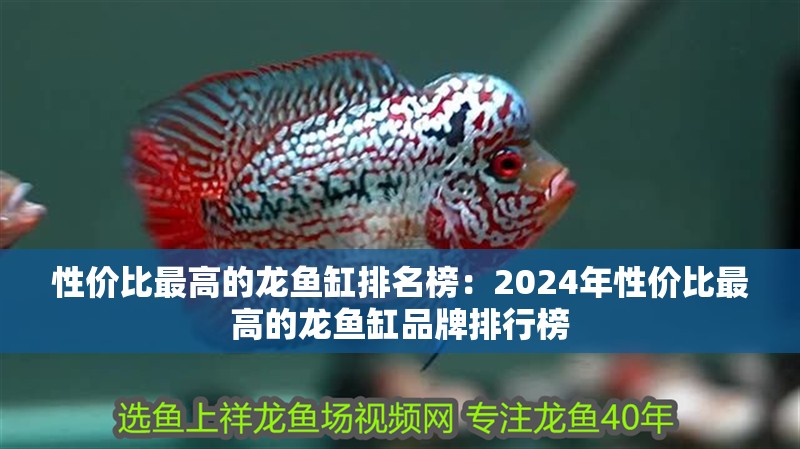 性價比最高的龍魚缸排名榜：2024年性價比最高的龍魚缸品牌排行榜