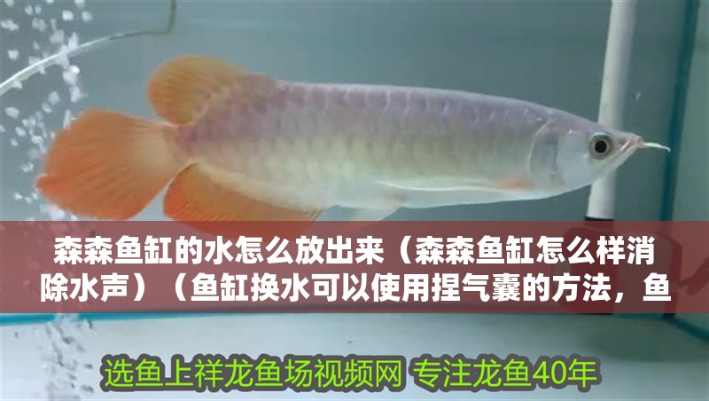 森森魚缸的水怎么放出來（森森魚缸怎么樣消除水聲）（魚缸換水可以使用捏氣囊的方法，魚缸換水可以用捏氣囊）