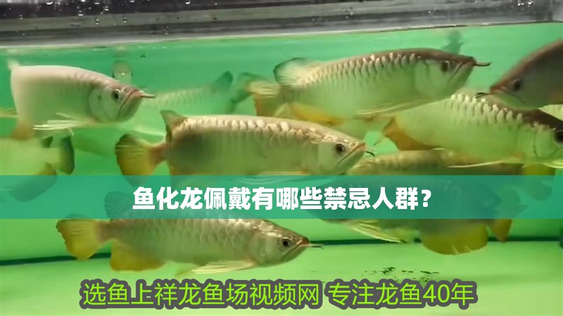 魚化龍佩戴有哪些禁忌人群？