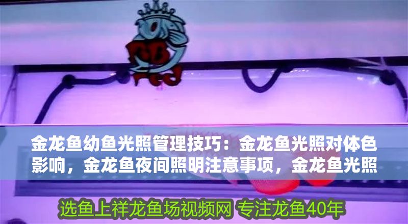 金龍魚(yú)幼魚(yú)光照管理技巧：金龍魚(yú)光照對(duì)體色影響，金龍魚(yú)夜間照明注意事項(xiàng)，金龍魚(yú)光照強(qiáng)度調(diào)節(jié)方法