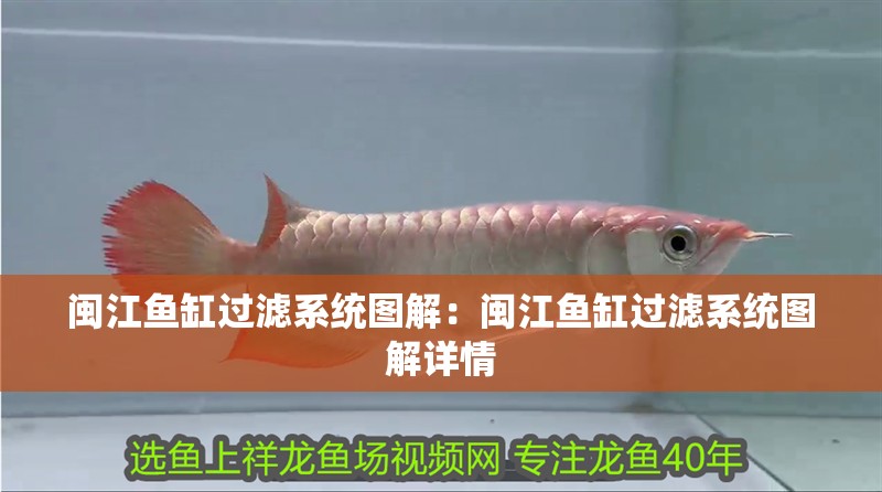 閩江魚缸過濾系統(tǒng)圖解：閩江魚缸過濾系統(tǒng)圖解詳情