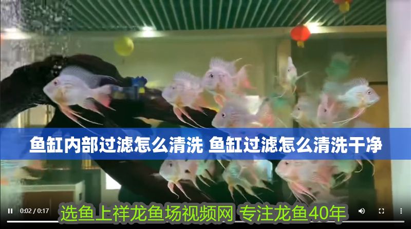 魚缸內部過濾怎么清洗 魚缸過濾怎么清洗干凈