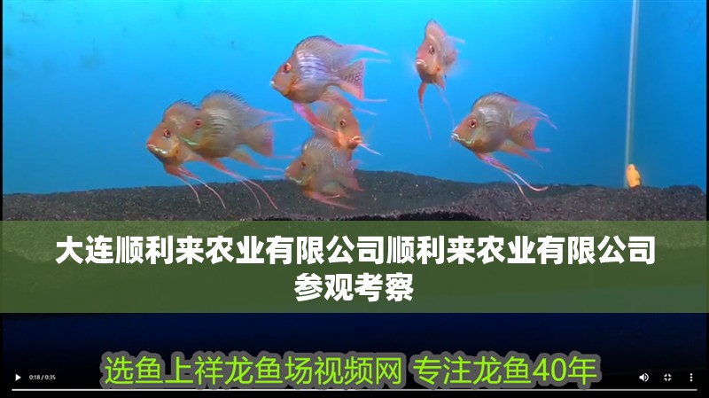 大連順利來農業有限公司順利來農業有限公司參觀考察