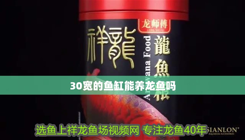 30寬的魚缸能養龍魚嗎