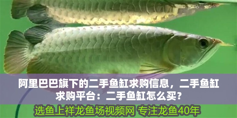 阿里巴巴旗下的二手魚缸求購信息，二手魚缸求購平臺：二手魚缸怎么買？