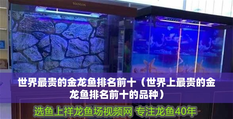 世界最貴的金龍魚排名前十（世界上最貴的金龍魚排名前十的品種）