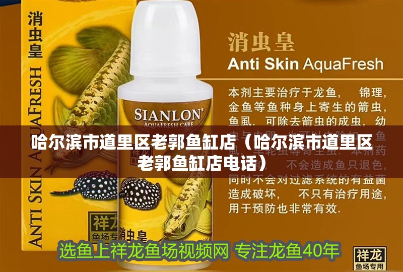 哈爾濱市道里區老郭魚缸店（哈爾濱市道里區老郭魚缸店電話）