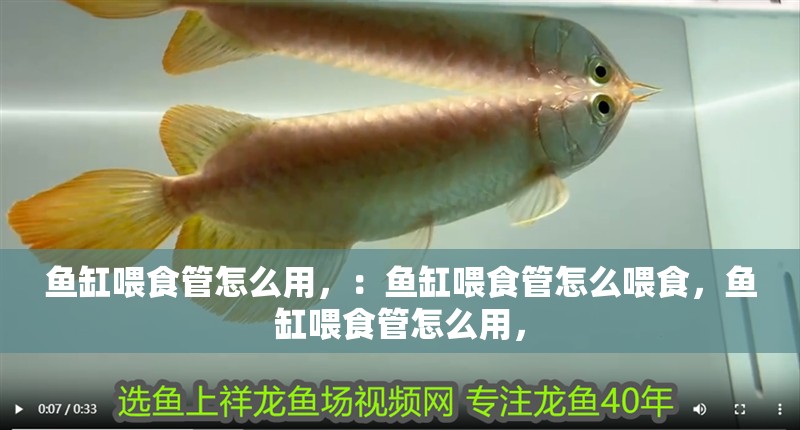 魚缸喂食管怎么用，：魚缸喂食管怎么喂食，魚缸喂食管怎么用，