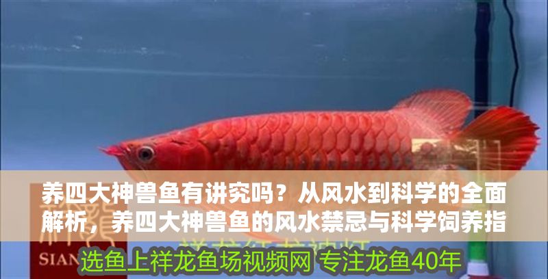 養四大神獸魚有講究嗎？從風水到科學的全面解析，養四大神獸魚的風水禁忌與科學飼養指南