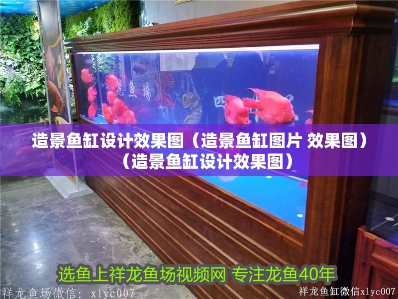 造景魚缸設計效果圖（造景魚缸圖片 效果圖）（造景魚缸設計效果圖）