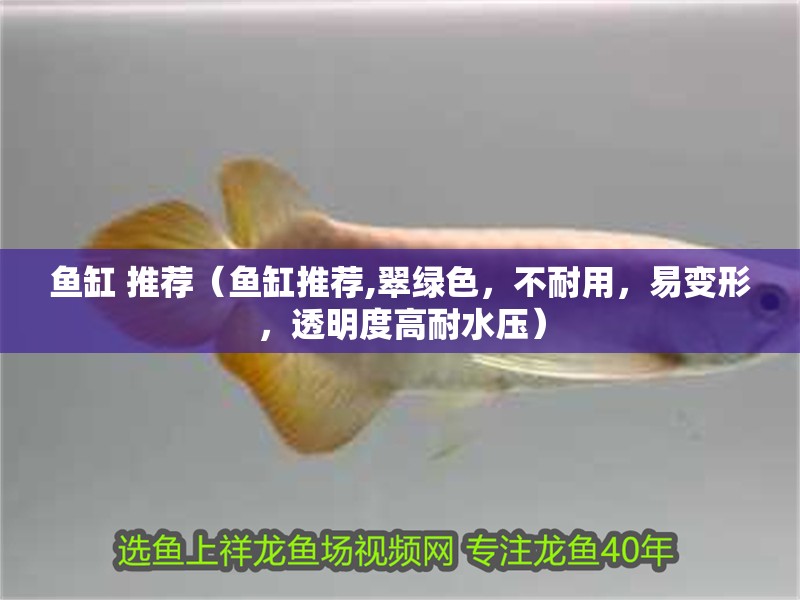 魚缸 推薦（魚缸推薦,翠綠色，不耐用，易變形，透明度高耐水壓）