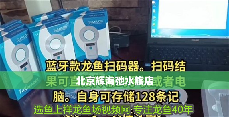 北京輝海弛水族店