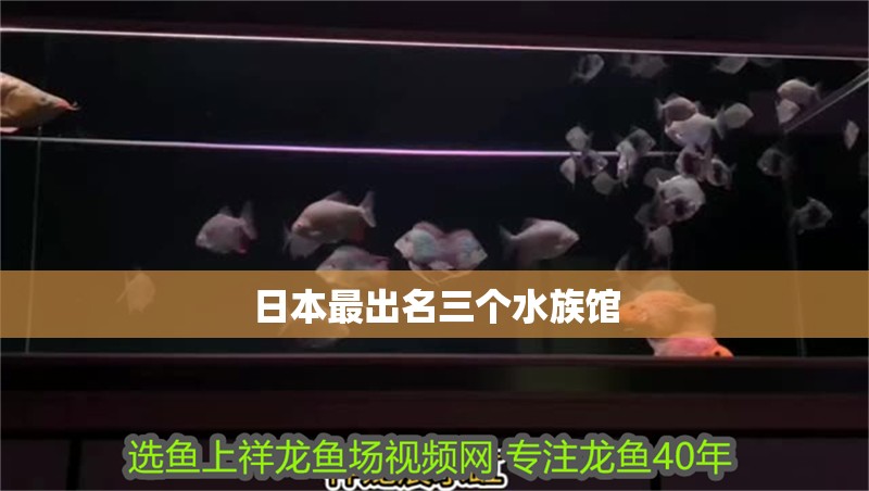 日本最出名三個水族館