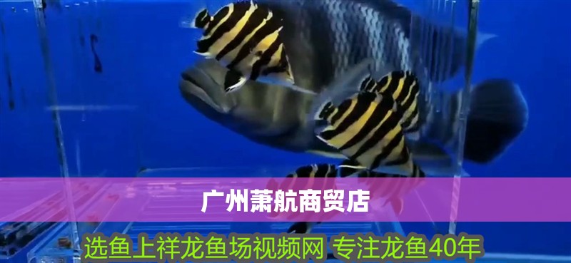 廣州蕭航商貿(mào)店