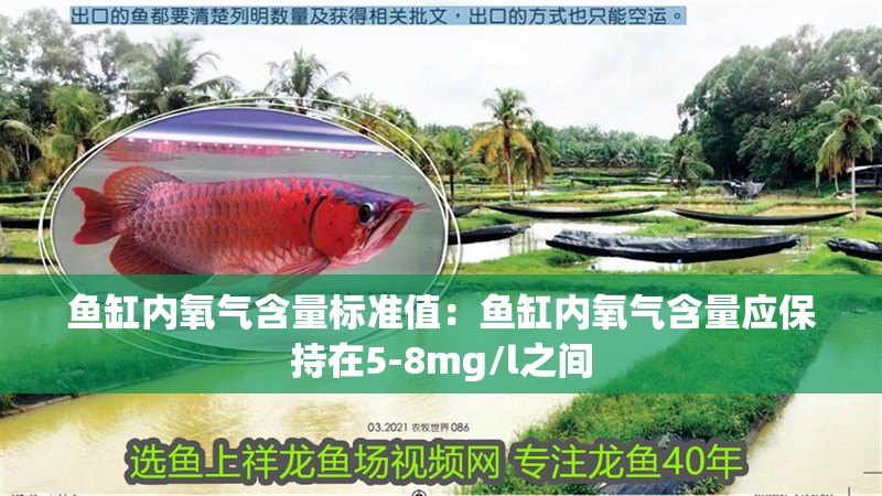 魚缸內氧氣含量標準值：魚缸內氧氣含量應保持在5-8mg/l之間