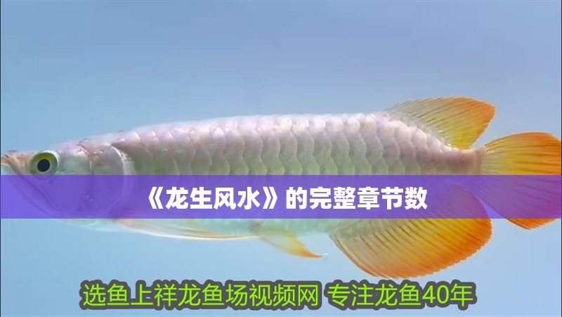 《龍生風(fēng)水》的完整章節(jié)數(shù)