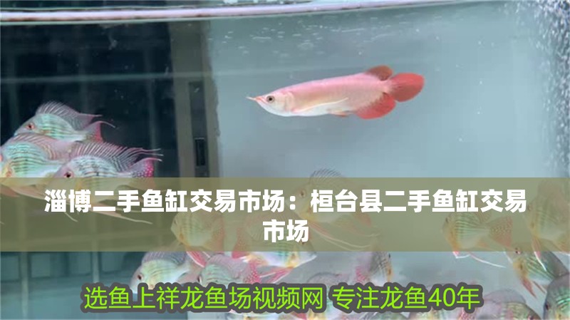 淄博二手魚缸交易市場：桓臺縣二手魚缸交易市場