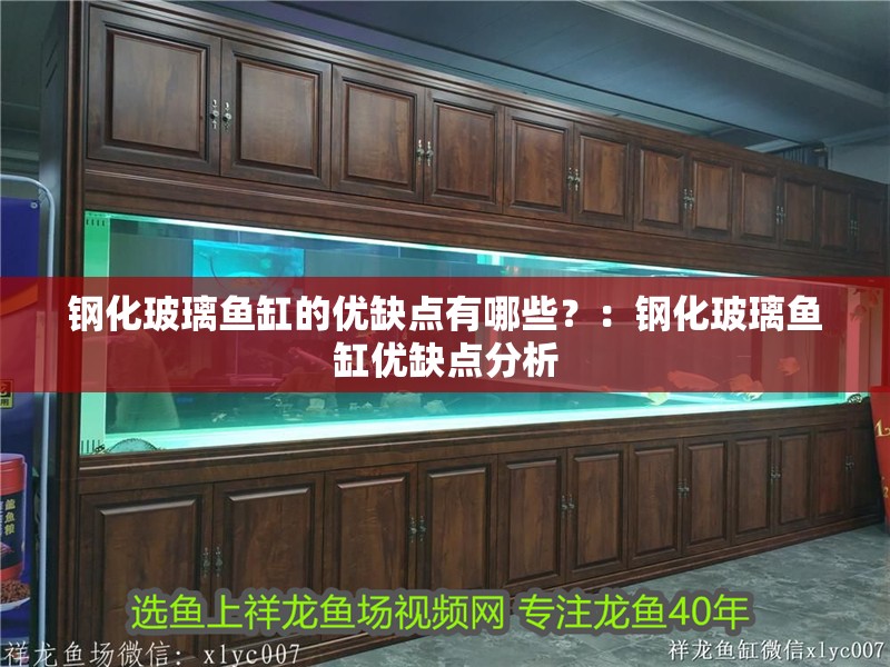 鋼化玻璃魚缸的優缺點有哪些？：鋼化玻璃魚缸優缺點分析