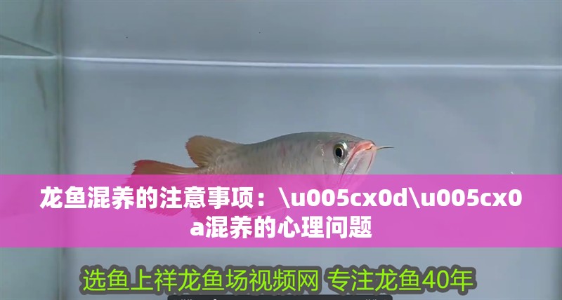 龍魚混養的注意事項：\u005cx0d\u005cx0a混養的心理問題