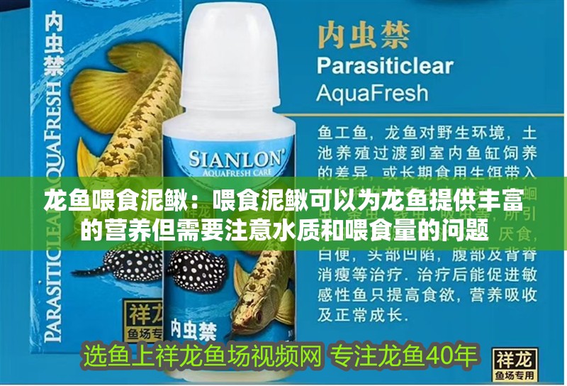 龍魚喂食泥鰍：喂食泥鰍可以為龍魚提供豐富的營養(yǎng)但需要注意水質(zhì)和喂食量的問題