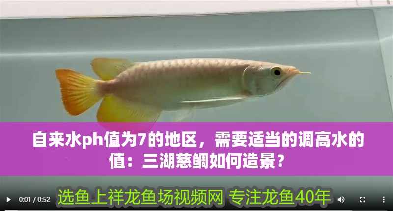 自來水ph值為7的地區(qū)，需要適當(dāng)?shù)恼{(diào)高水的值：三湖慈鯛如何造景？