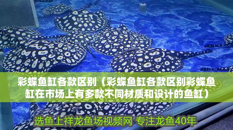 彩蝶魚缸各款區(qū)別（彩蝶魚缸各款區(qū)別彩蝶魚缸在市場上有多款不同材質(zhì)和設(shè)計的魚缸）