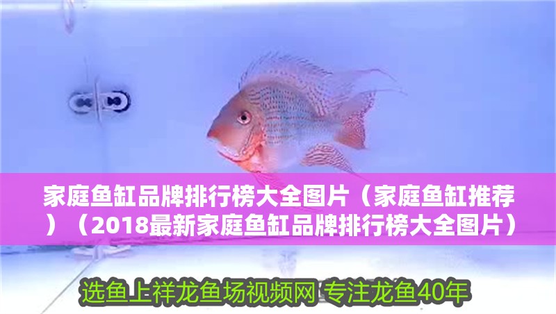 家庭魚缸品牌排行榜大全圖片（家庭魚缸推薦）（2018最新家庭魚缸品牌排行榜大全圖片） 家庭魚缸品牌排行榜大全圖片（家庭魚缸推薦）（2018最新家庭魚缸品牌排行榜大全圖片） 魚缸百科