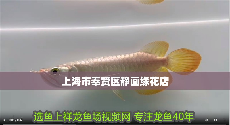 上海市奉賢區靜畫緣花店