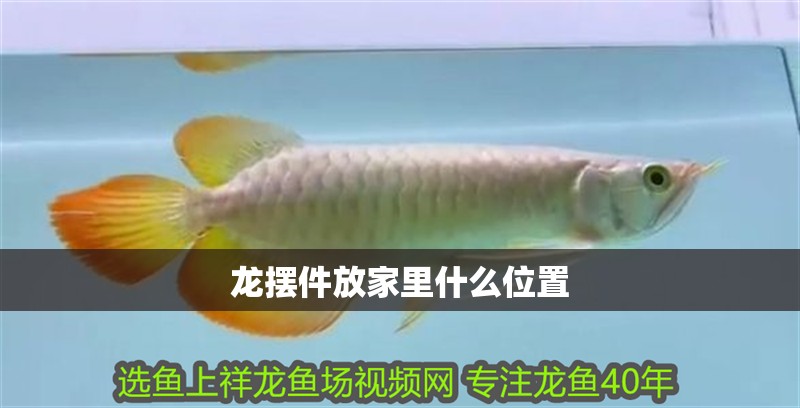 龍擺件放家里什么位置