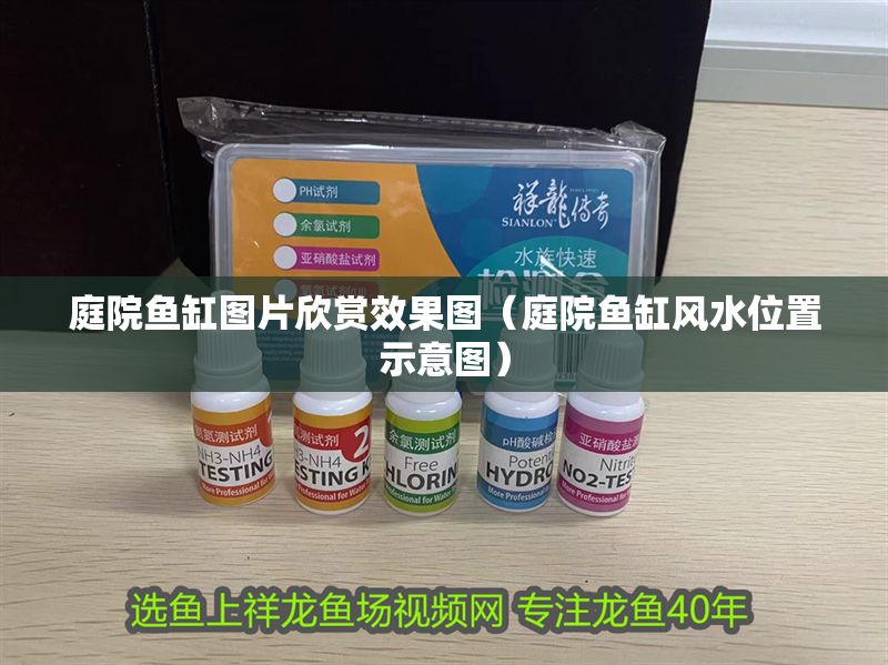 庭院魚缸圖片欣賞效果圖（庭院魚缸風水位置示意圖）